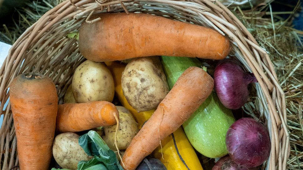 Фото: Евгений Павленко / Коммерсантъ