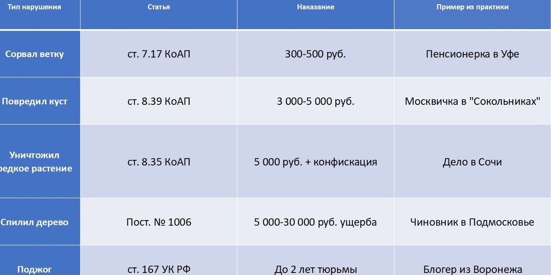 "Сиреневая война": штраф в 500 тыс. руб. за веточку? (гид по ответственности за повреждение растений)
