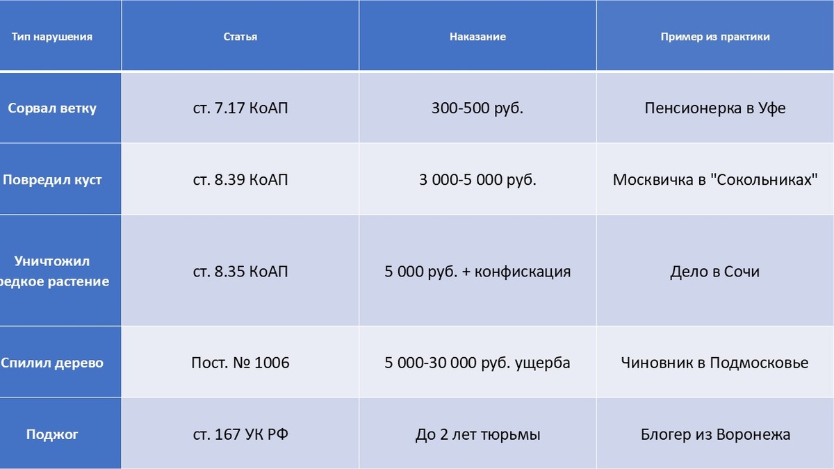 Штрафы за порчу природы