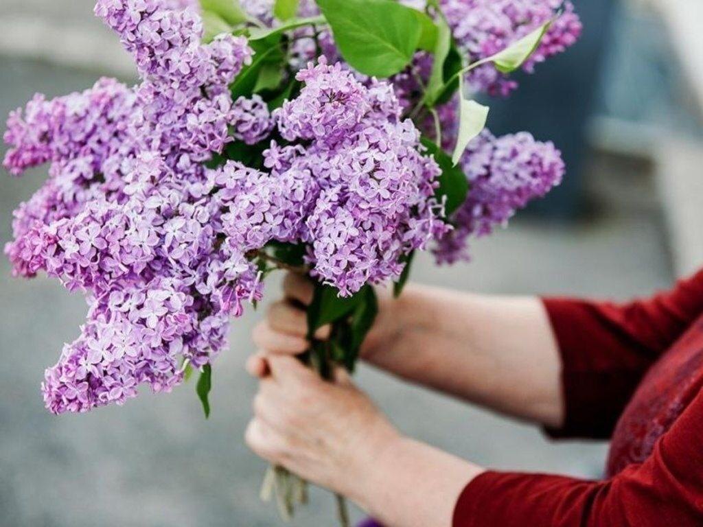 Купите букетик за 500 000 рублей????