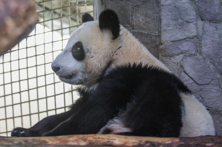    Алексей Белкин/NEWS.ru