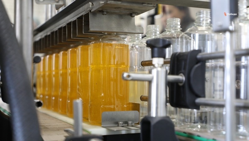      Фото: Дмитрий Ахмадуллин / / ИА «Победа26»