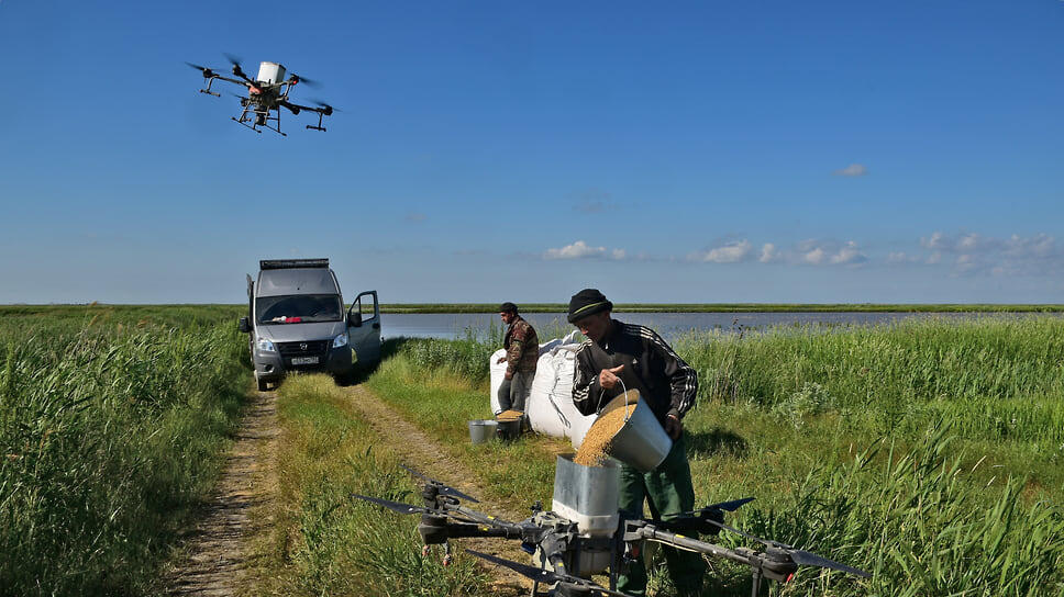 Фото: Анатолий Родников / Коммерсантъ