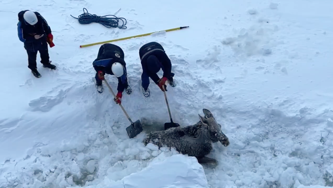 Скриншот видео t.me/Atomflot_official