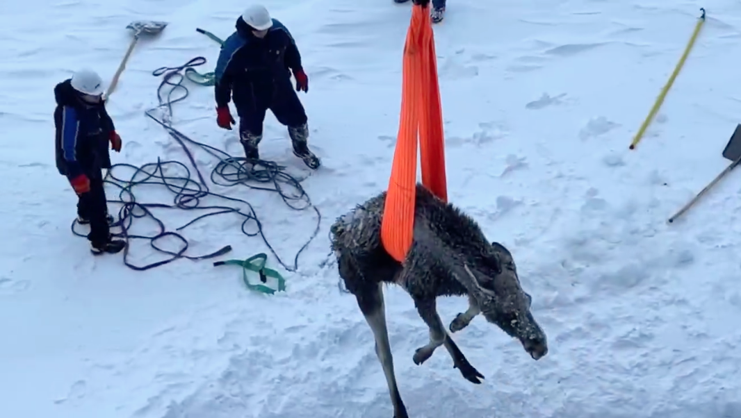 Скриншот видео t.me/Atomflot_official