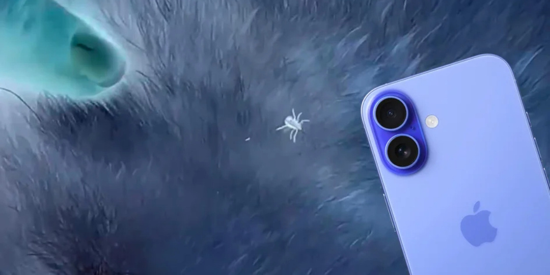 Клещи: как найти клеща на собаке с помощью камеры телефона и меры профилактики.