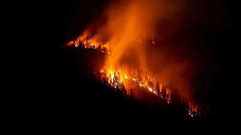    Фото: 24K-Production/Shutterstock/Fotodom