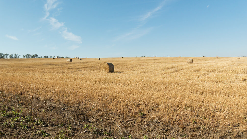 Фото: Игорь Елисеев / Коммерсантъ