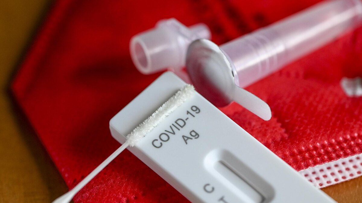    Фото: Jens Kalaene/globallookpress.com