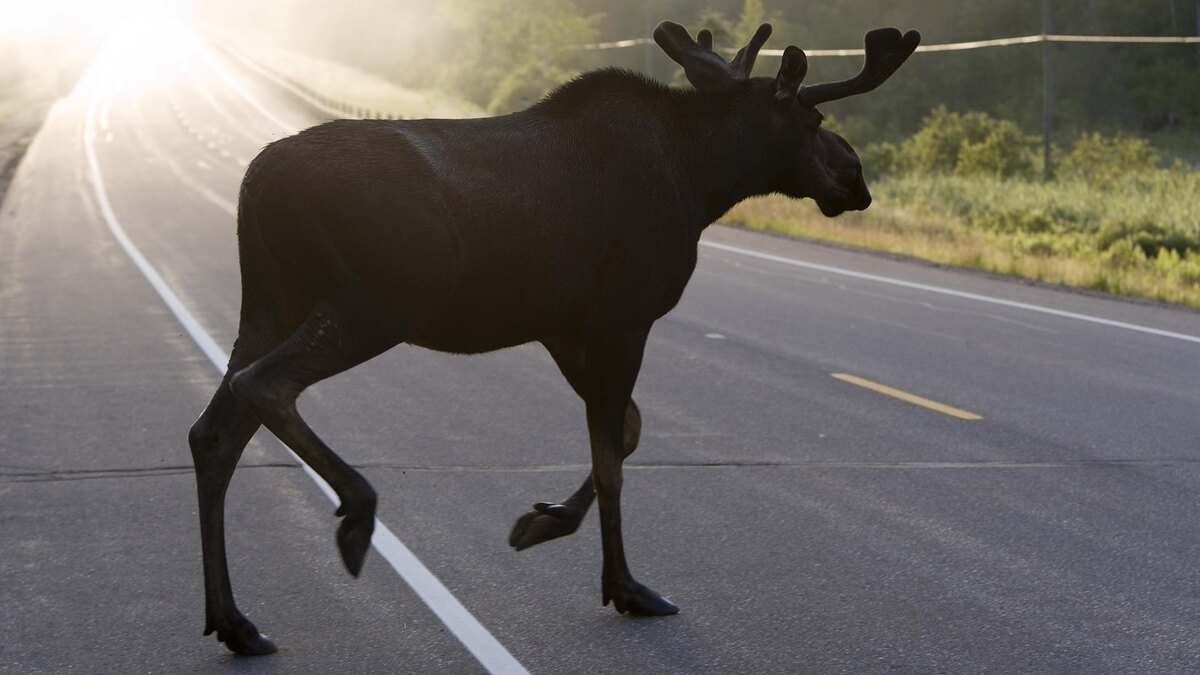    Фото: Serguei Fomine/globallookpress.com