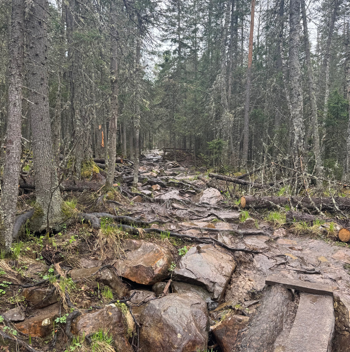 Дорога в 32летие 