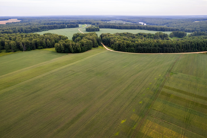    Фото Сергея Ветрова