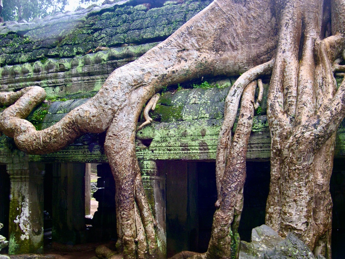 Камбоджа, Храм Та Пром. Октябрь 2007 года