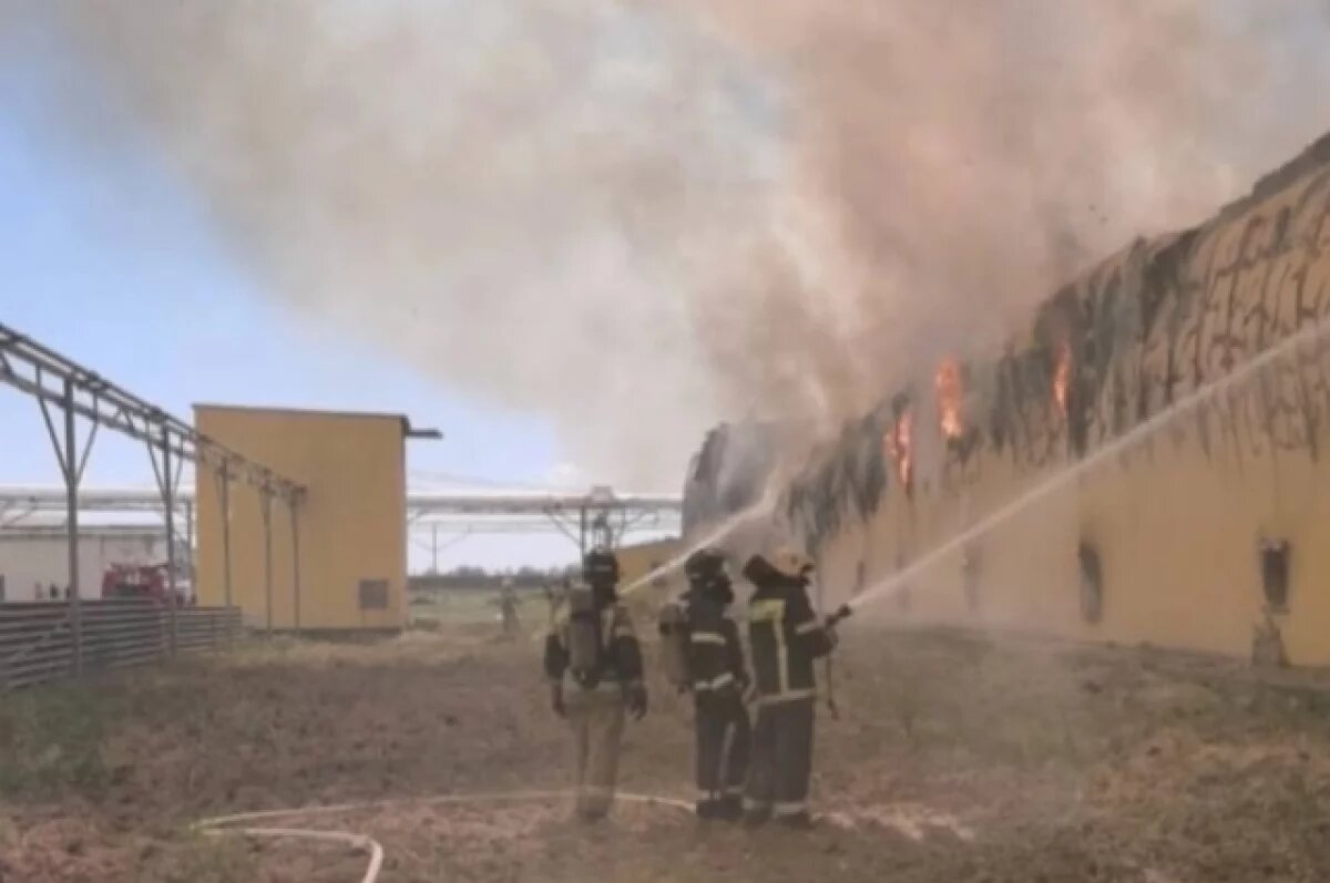    В Астраханской области при пожаре на птицефабрике сгорели до 166 тыс. кур