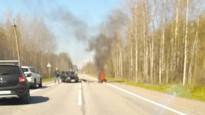 Фото: Дунай Сады онлайн/ВКонтакте