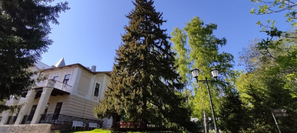 Фото из архивов Дениса Тишина, заказника «Долгая поляна» и Ислейтарского лесничества