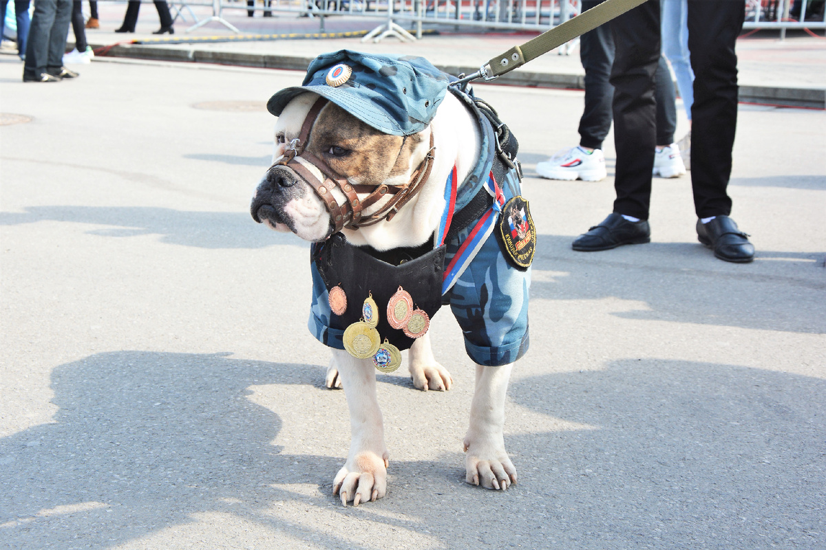 Фото: Гала Амарандо