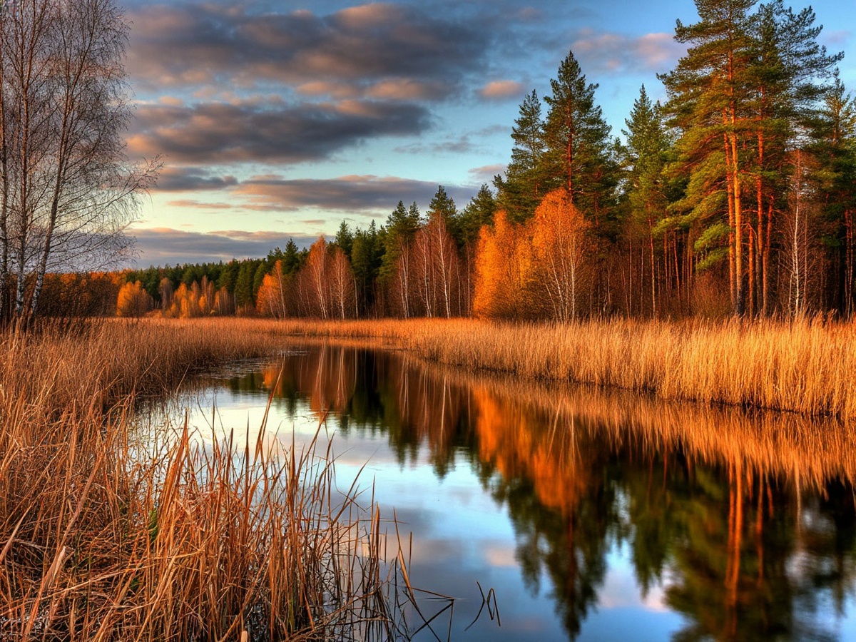 Тихая лесная река, несущая в своих водах отражение осеннего неба с облаками и берегов, украшенных пожелтевшей травой и яркой листвой
