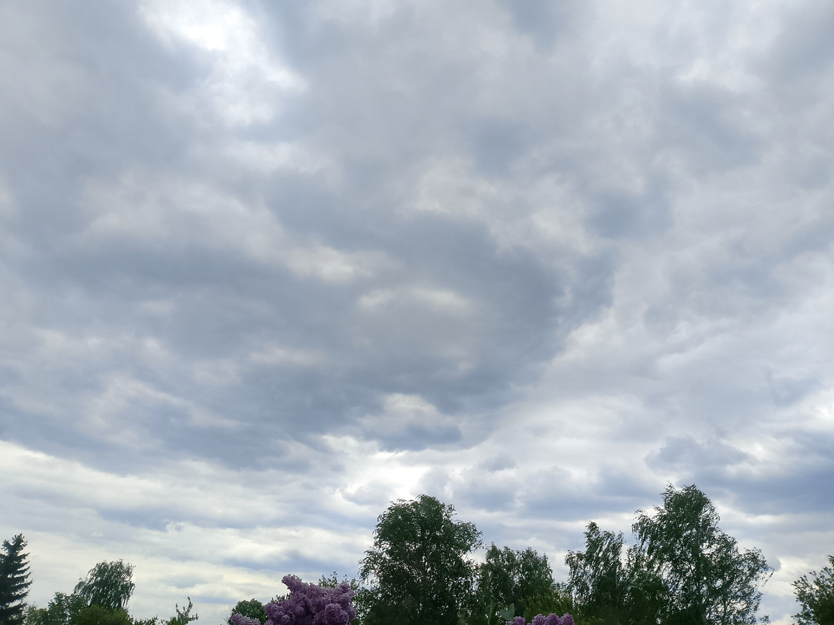 Погода за окном. Татьяна Время Вязать