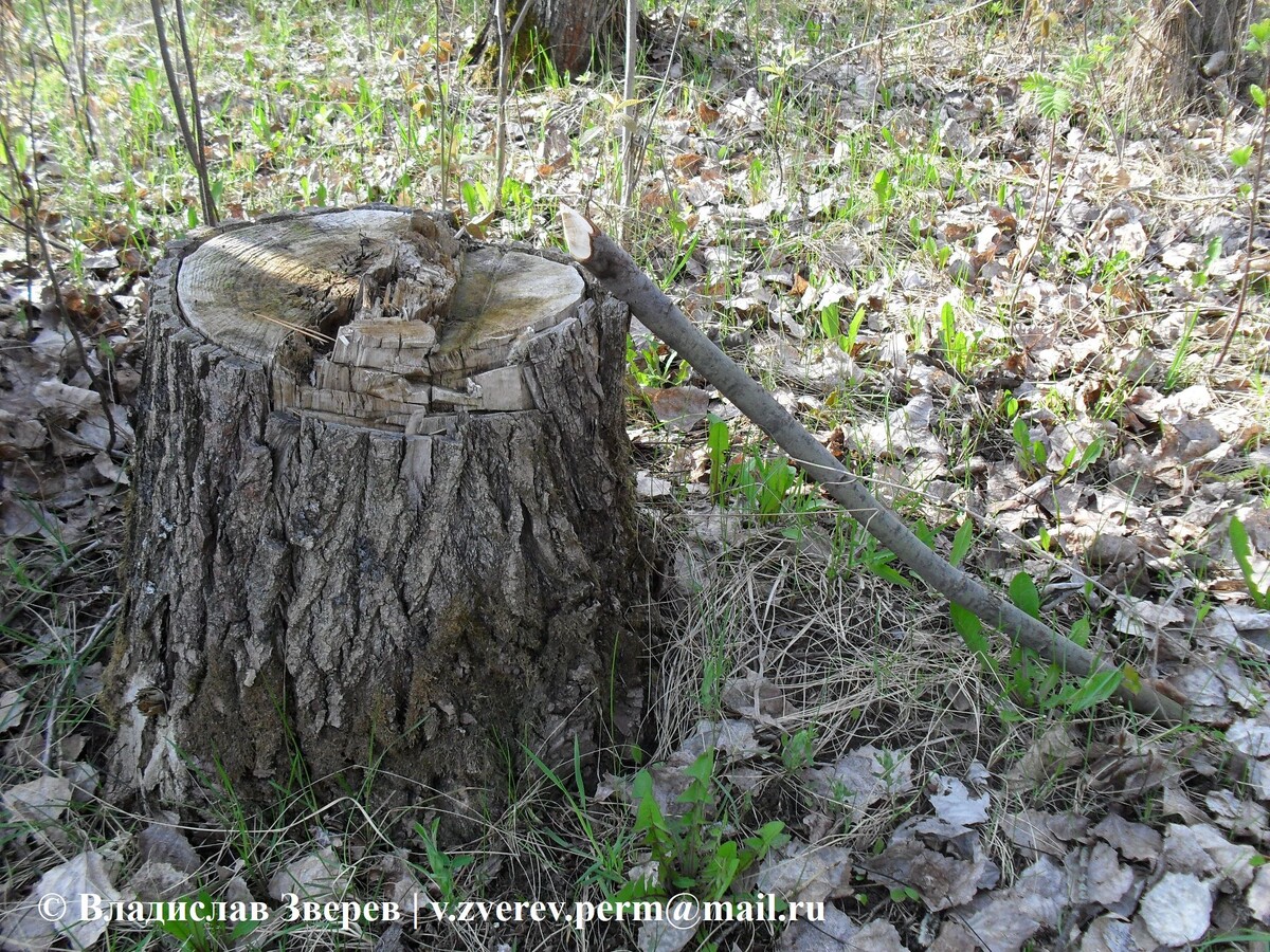 Фото 1. Метка места промысла у охотников.