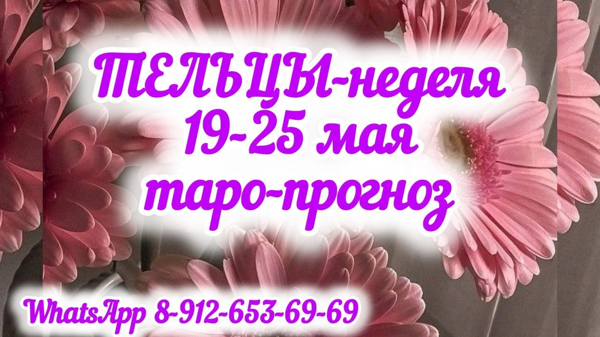 фото принадлежит автору канала