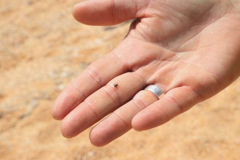 Фото: Наталья Сомова