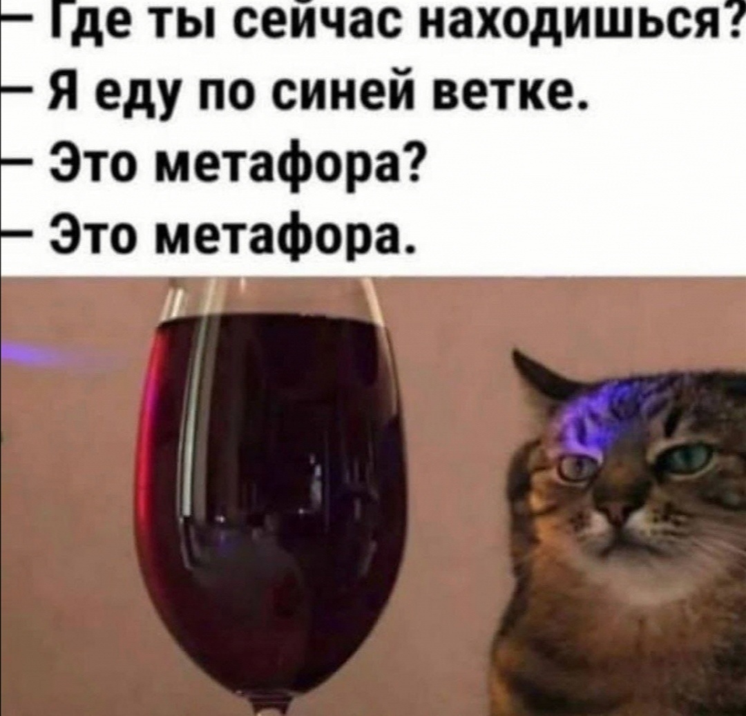 Обожаю этот мем