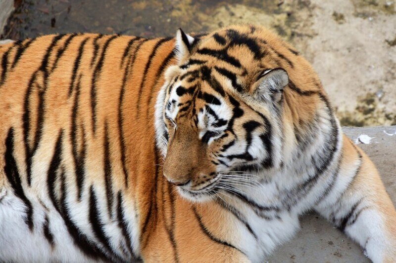 Фото: Гала Амарандо