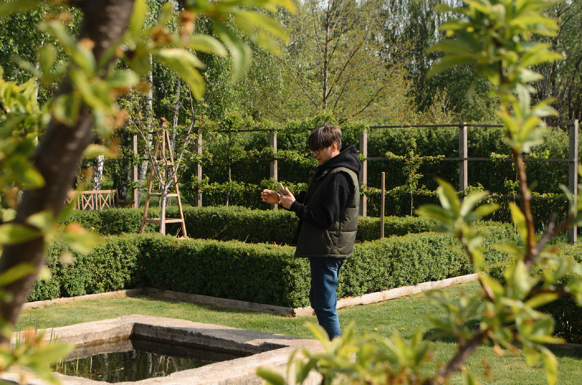 Зоны с посадками овощей обрамляются стриженными бордюрами.