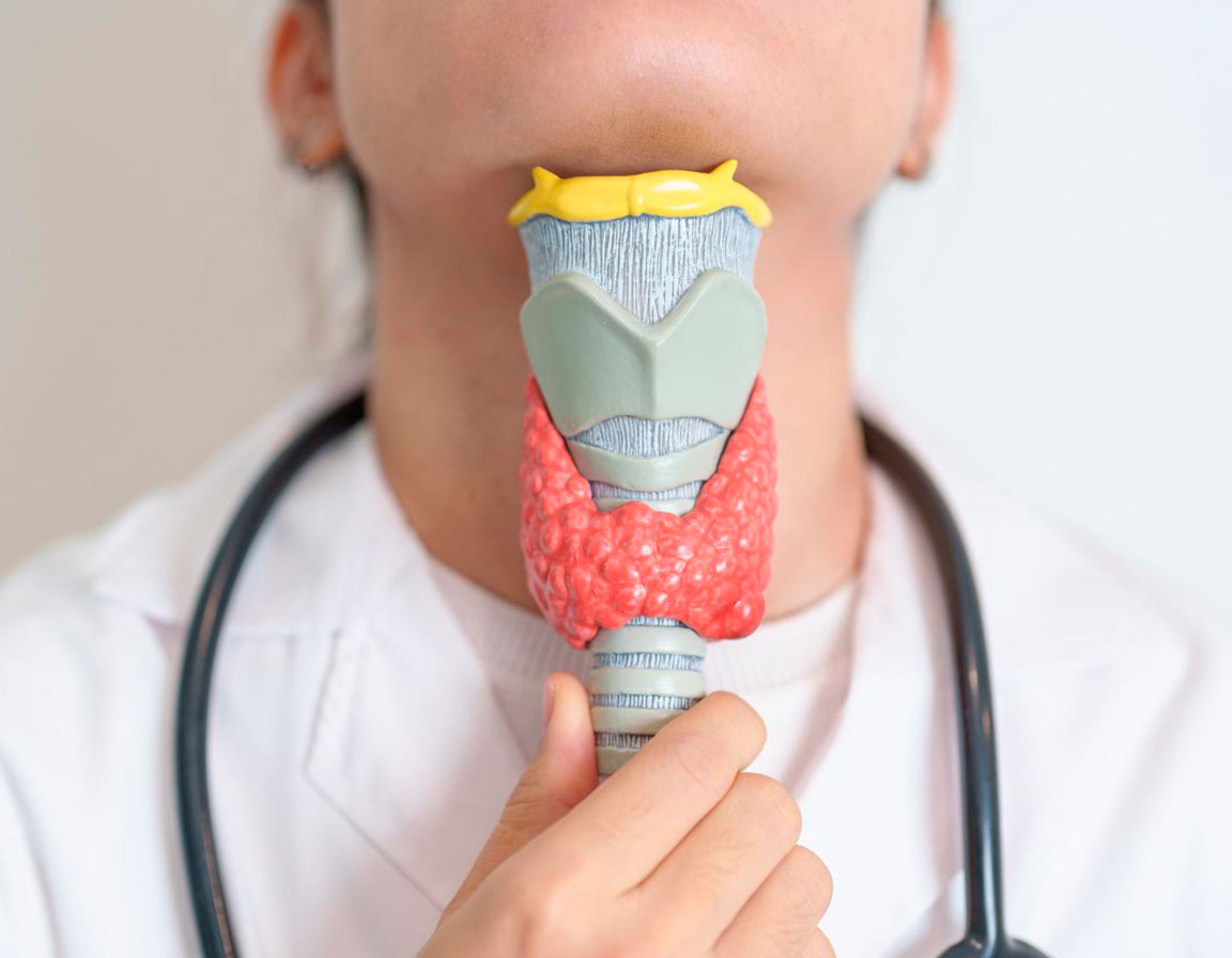 Врач показывает строение гортани