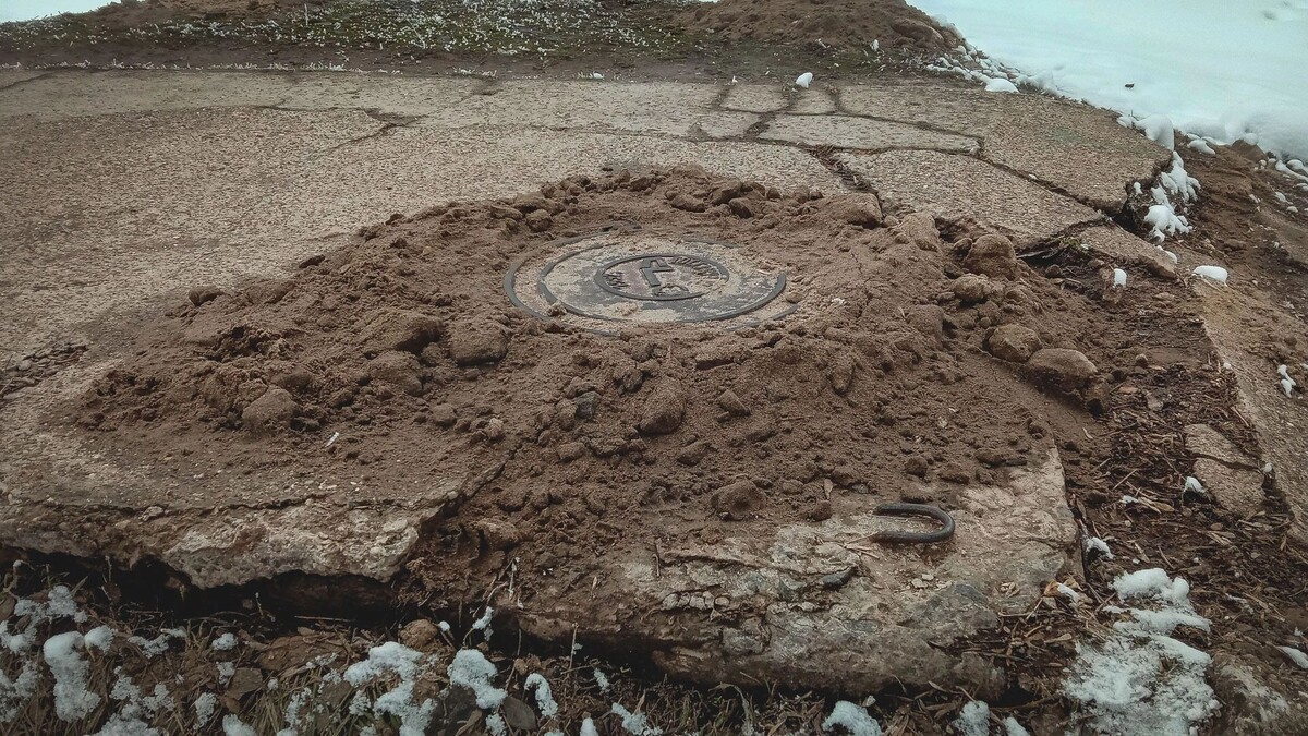     Источник: 1MI