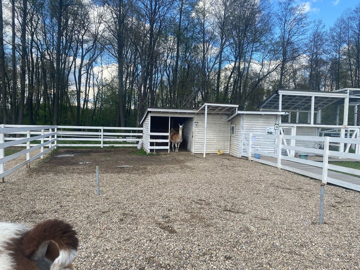 Фото автора канала. 