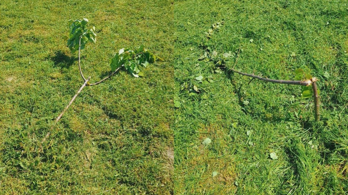    Беспредел в «Молодежном» в Курске