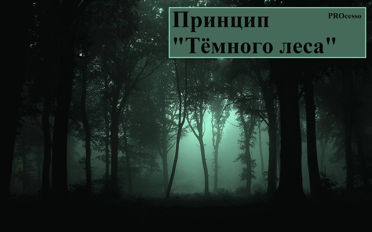 Вглядись, что ты здесь видишь?