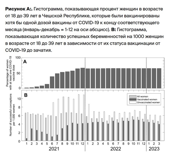 https://avatars.dzeninfra.ru/get-zen_doc/271828/pub_6825be98e95726713774a13f_6825bea904e8bc4a489f7197/scale_600