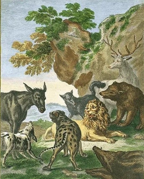 Картинка из открытых источников сети Интернет 