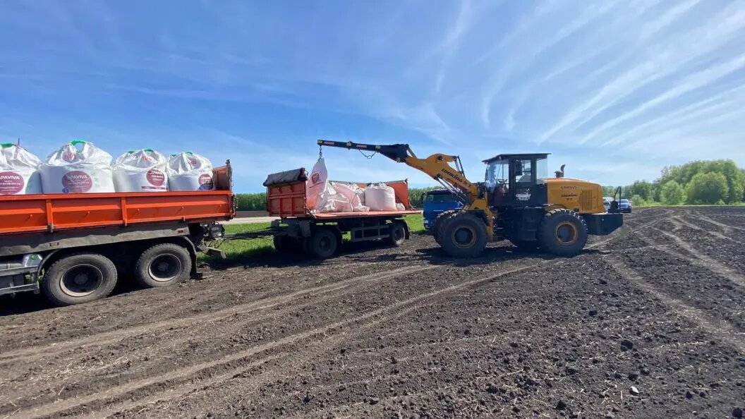    Фото: пресс-служба правительства Новосибирской области