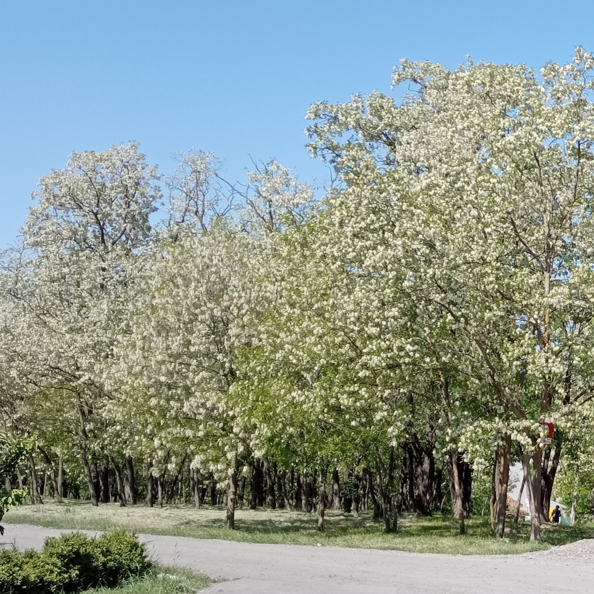 Дорога в наш Дом - фото автора