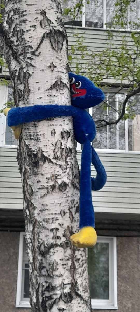 Они самые через день, на дереве