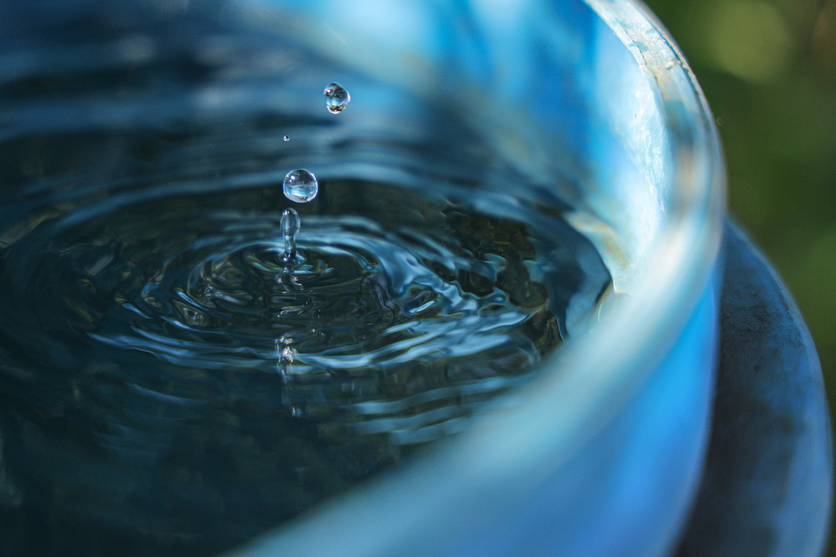 Фото: © Andrey Titov/ Business Online/ Global Look Press