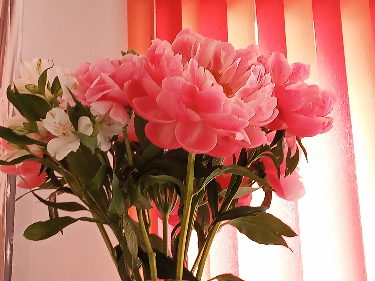 Сын прислал