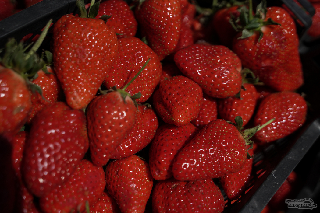    Фото: Лидия Аникина © ИА «Уральский меридиан»