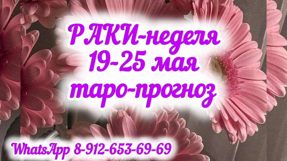 фото принадлежит автору канала