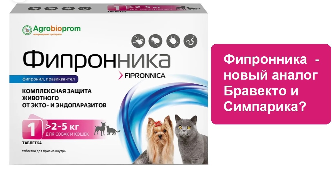 Фипронника - новый российский препарат от паразитов для кошек и собак