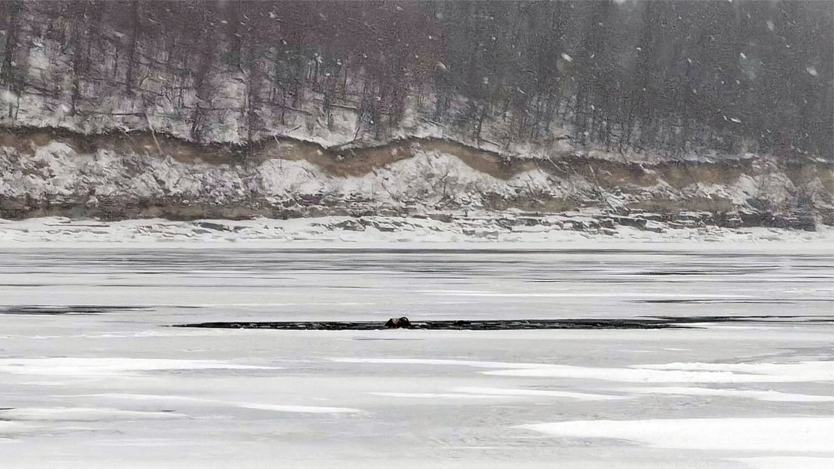 яндекс картинки