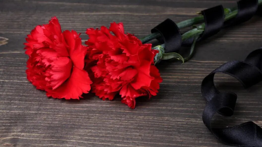    Africa Studio\shutterstock.com