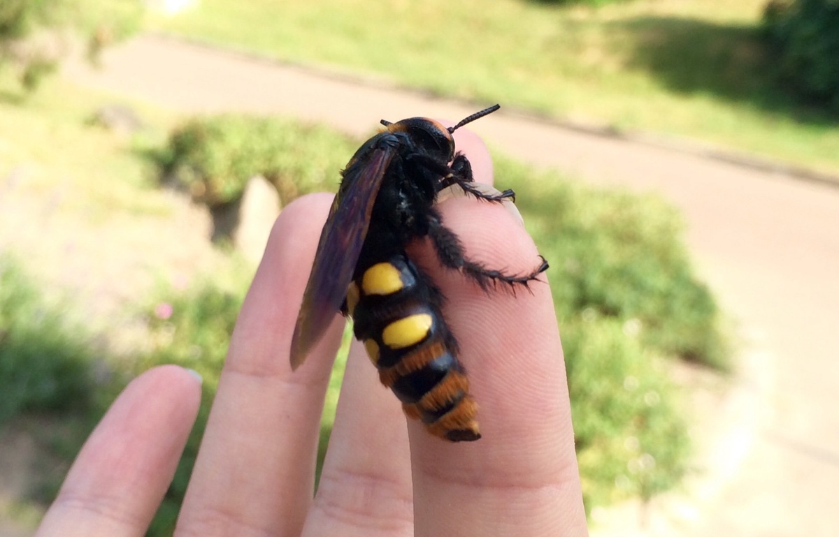 Обнимашки!!