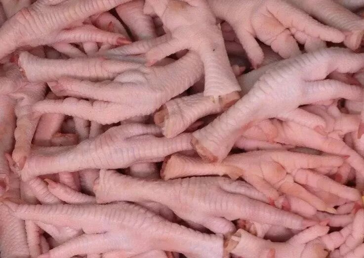 Фото: Уральское межрегиональное управление Россельхознадзора