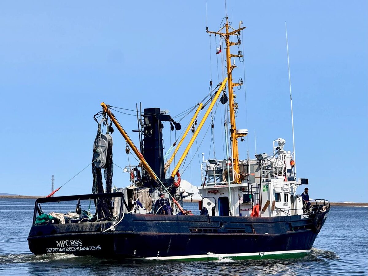 Фото: «Дельта Фиш ЛТД»