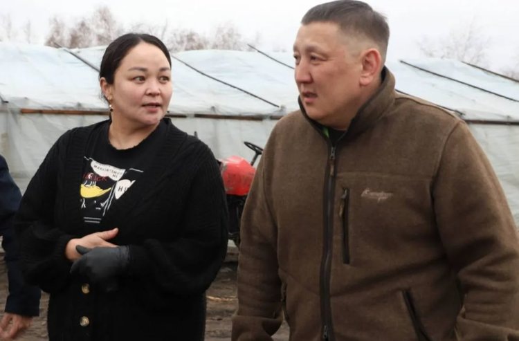    В тепличных хозяйствах Якутска выращивают рассаду и дыни с арбузами